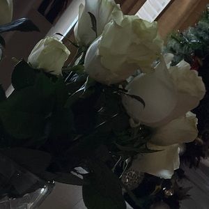 Meet your Posher, Estela